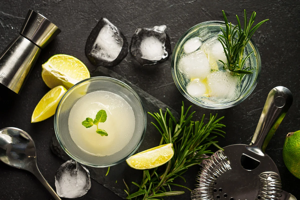 A frozen gin and tonic cocktail on a dark table